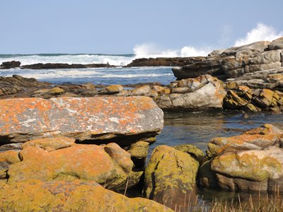 Wildside tours South Africa
