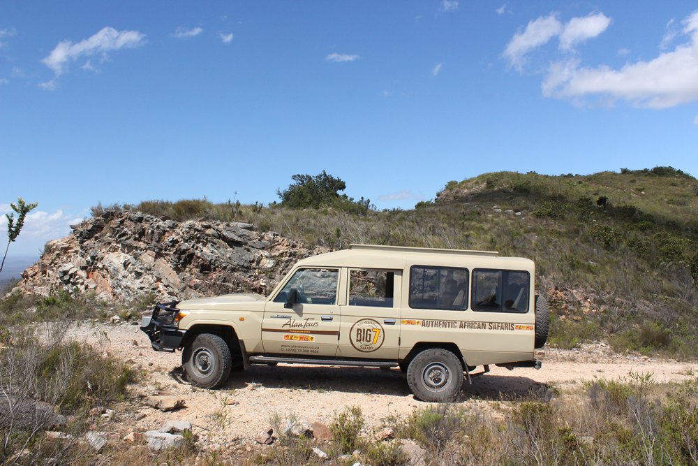 4 x 4 Alan Tours landcruiser, Addo Section Kabouga