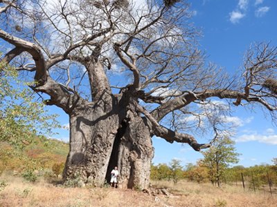 Tours South Africa with Alan Tours, Port Elizabeth