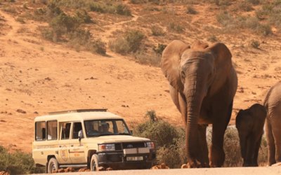 Tours South Africa with Alan Tours, Port Elizabeth