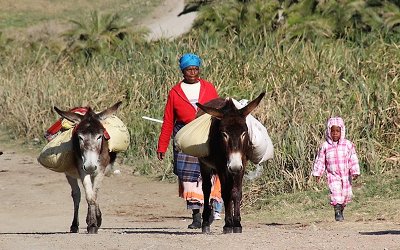 Tours South Africa with Alan Tours, Port Elizabeth