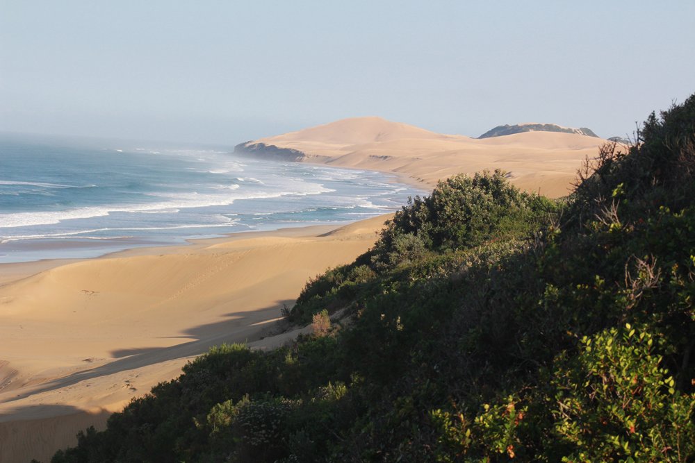 Woody Cape Dune Fields