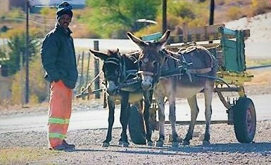 Country Roads tours south africa with Alan Tours
