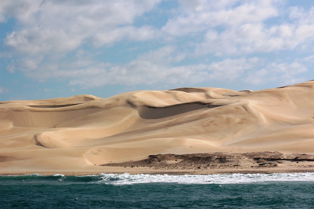 Woody Cape dune fields