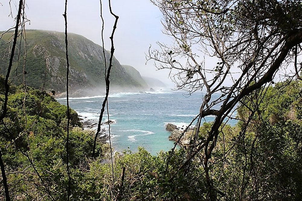 Tstitsikamma Nat Park