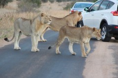 Tours South Africa with Alan Tours, Port Elizabeth