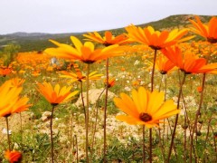Tours South Africa with Alan Tours, Port Elizabeth