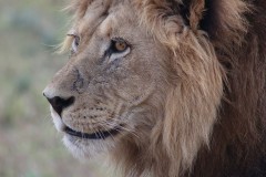 Tours South Africa with Alan Tours, Port Elizabeth