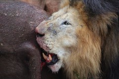 Tours South Africa with Alan Tours, Port Elizabeth