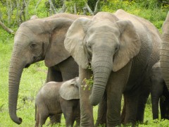 Tours South Africa with Alan Tours, Port Elizabeth