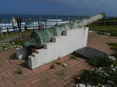 Port Elizabeth City Tour