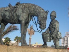 Port Elizabeth City Tour