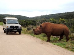 Tours South Africa with Alan Tours, Port Elizabeth