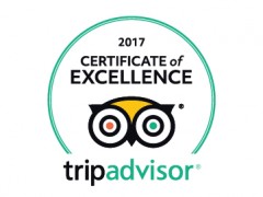 tripadvisor award alan tours