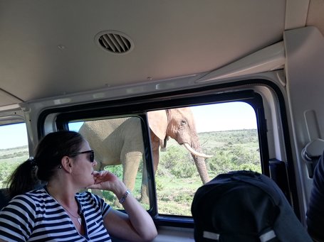 Addo Elephant National Park Shore Excursion