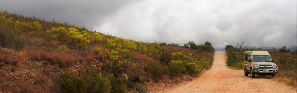 Country Roads tours South Africa with Alan Tours